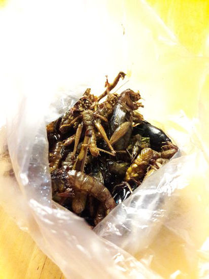 Leider nicht so "nussig"-lecker wie erhofft - schmeckt eher nach altem Fett und sehr mehlig. Nachdem denoch jedes Tierchen probiert wurde, haben wir die Tüte an eine sehr dankbare Abnehmerin...ähm Abnehmer...also..ähm...naja, ihr wisst schon...verschenkt...