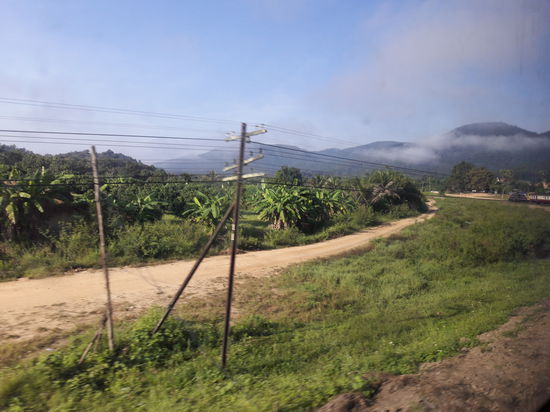 Durch den Dschungel auf dem Weg in die "Blüte des Nordens"