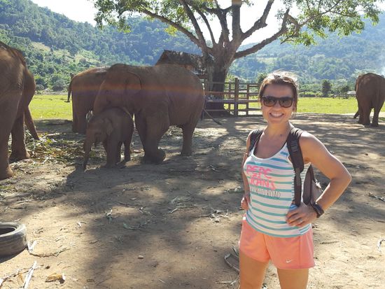 Wie nimmt man ein Elefantenbaby am unauffälligsten mit nach Hause??