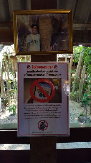 Schade, dass es überhaupt notwendig ist: der Hinweis darauf, dass die Pokemon-Gamer ihr Handy während der Interaktion mit den Tieren nicht nutzen sollen....