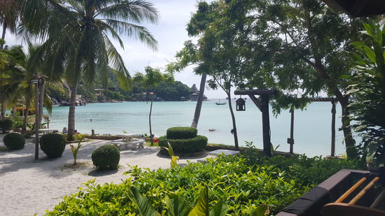 Die Aussicht aus unserem Bungalow.