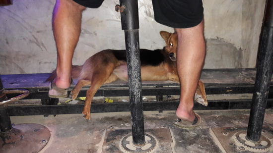 ...allerdings mit eingeschränkter Beinfreiheit 