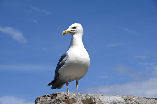 Direkt vor unserem Womo.... Besuch
