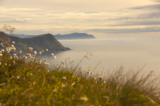 verschiedene Lichtstimmungen