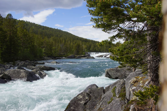 Überall rauschende Flüsse..