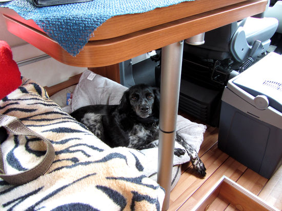 Unser Kleener hat es sich gleichmal gemütlich gemacht