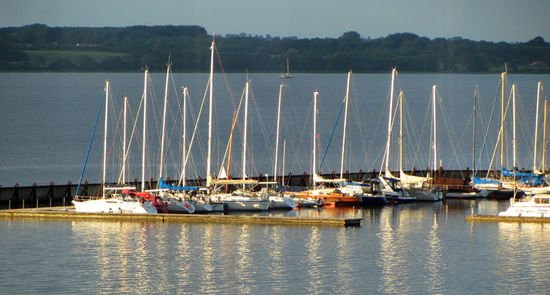Abendspaziergang auf dem Platz