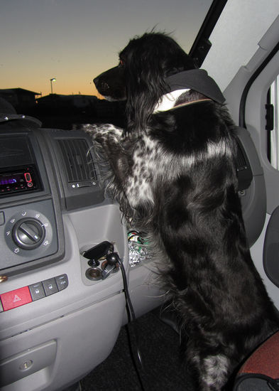 Die Neugierde persönlich!