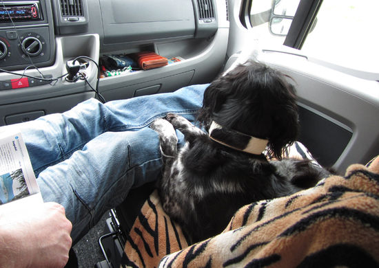 und wiedermal drinnen gemütlich.. Dalton gefällts