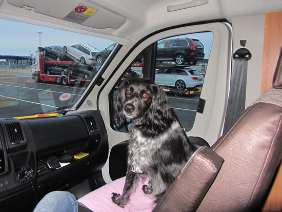 Da war die Welt noch in Ordnung...mein Kleener, dann musste er vier Stunden im Auto bleiben.. das machen wir nie wieder ..versprochen!!!