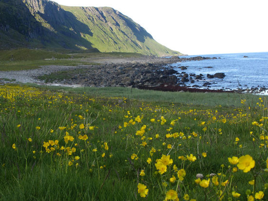 morgens in Eggum.. so schön...
