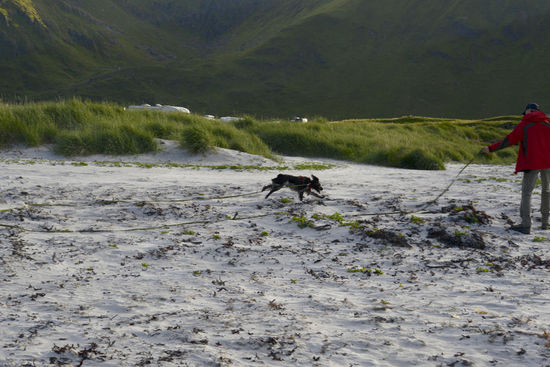 Bevor wir die Mitternachtssonne fotografieren muss unser Kleener ausgetobt sein
