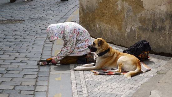 ...vielleicht sollte man so mal nach einer Gehaltserhöhung fragen ...