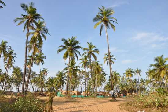 Wir hatten Glück und lagen mit unserer Unterkunft etwas außerhalb. Dieser Weg führt innerhalb von 5 - 10 Minuten ins Örtchen 