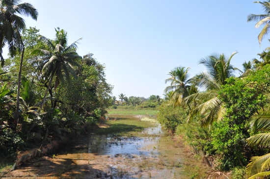 Ausblick von unserem Balkon.. Tierchen inklusieve
