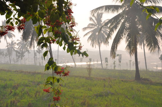 Ausblick von unserem Bungalow
Durch die ganzen kleinen und größeren Feuerchen am Abend ist es sehr diesig geworden.