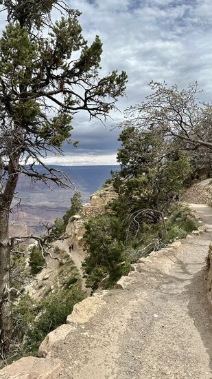 Hier geht es runter, zunächst recht moderat.Uns kommen mehrere Hiker entgegen, die mitten in der Nacht unten am Fluß gestartet sind und jetzt auf den letzten Metern nach 0ben sind. Wir unterhalten uns mit einem netten Ehepaar aus den USA (sie waren 4 Jahre in Wilhelmshafen bei der US Armee stationiert und lieben Deutschland). Sie waren 3 Tage am Fluß unten - 2 Tage in der Phantom Ranch in einer Cabin, eine Nacht im Zelt. Beide - ca. 55-60 Jahre alt - waren total begeistert und glücklich, dass sie diesen Trail gegangen sind.
Auch sie haben die Übernachtungen Jahre im Voraus gebucht