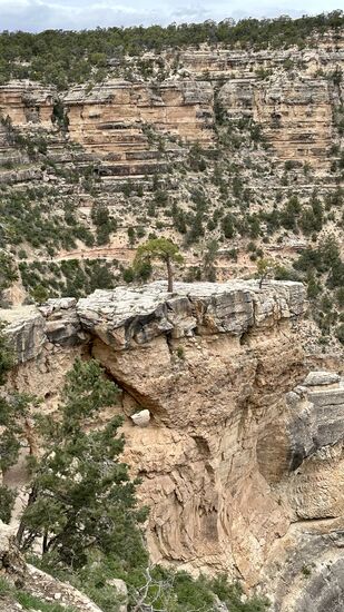 Weiter unten sieht man den Trail und einige Hiker auf dem Weg nach unten und andere nach oben.