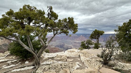 Das Wetter bleibt stabil bewölkt, immer wieder gibt es starke Windböen und man muss aufpassen, nicht umgeweht zu werden.