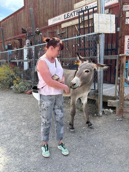 Gleich kaufe ich für 1US$ auch eine Tüte Futter —die Esel sind aber schon sehr satt—jeder kauft hier Futter und so sind die Tiere nicht mehr sehr interessiert.