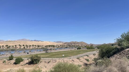 Wir fahren über die Brücke und können die Palmen am Colorado-River bestaunen