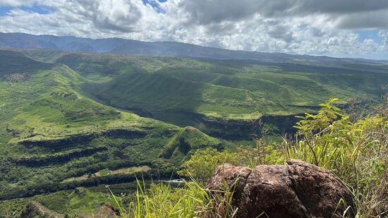 Nach etwas mehr als einer Stunde erreichen wir den Weimea Canyon. Er ist insgesamt 18 km lang und an manchen Stellen bis zu 900 Meter tief. Wir fahren den Canyon entlang und stoppen an verschiedenen Outlooks.