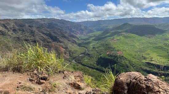 Uns liegt der Canyon zu Füßen. Er wird auch als „Grand Canyon“ Hawaiis bezeichnet.  Ist aber wesentlich kleiner und nicht so tief wie das Original. Dafür aber viel grüner.