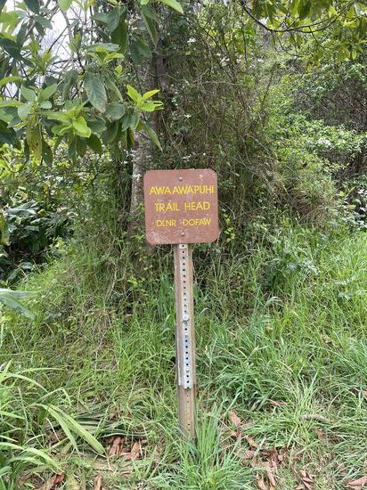 Wir fahren einige Meilen weiter, kommen an einem Parkplatz vorbei, auf dem einige Autos parken, aber nicht zu erkennen ist, was dort zu sehen ist. Wir sprechen ein amerikanisches Ehepaar an, die uns erzählen, dass sie einen Trail gelaufen sind und am Ziel eine ganz tolle Aussicht auf die Napali Küste zu sehen sei. Je weiter man herunter komme, desto weniger Nebel versperre die Aussicht. 
Los geht´s: wir entscheiden uns, auch diesen Trail zu gehen. Mit uns startet ein anderes älteres (etwa unser Alter) Paar aus USA, die wir im Laufe der nächsten Stunden immer wieder treffen werden.