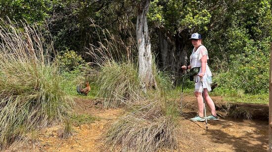 Was machen die denn hier? Wir treffen auf zwei Hühner und Thomas meint, ich mache das Trio komplett 