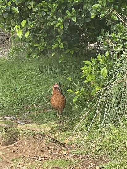 Die sind hier wirklich überall!!