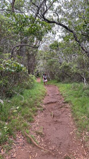 Thomas „sprintet“ voraus und ich komme nach!