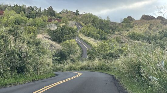 Nach 2 Stunden 20 Minuten sind wir wieder oben. Etwas mehr als 10 km - hin und zurück. Und knapp 500 Höhenmeter waren zu meistern. Und wir haben es geschafft!  Wer Kauai besucht, sollte diesen Trail unbedingt laufen.