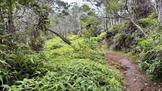 … danach geht es nur noch bergab. Im Moment denken wir noch nicht an den Aufstieg