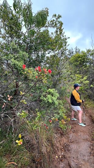 Kleine Pause - ich gehe lieber bergauf als berg runter.
Da es immer wieder anfängt zu nieseln, ziehe ich eine Jacke von Thomas an