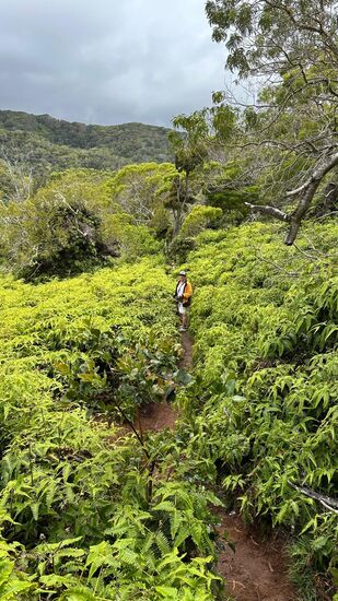 Nach einer kleinen Pause und vielen Fotos machen wir uns auf den Rückweg: stetig bergan!
Für mich bedeutet das eine Erleichterung für meine Knie. Thomas geht lieber berg runter. Aber es hilft ja nichts: auch er muss den Berg jetzt rauf.
