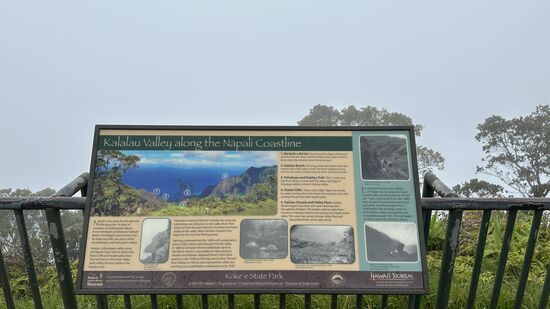 Ursprünglich haben wir geplant, den Kalepa Ridge Trail zu wandern. Thomas ist diesen gemeinsam mit Dennis und Tina in 2019 gewandert. Doch anstelle des Ausblicks auf dem Plakat schauen wir nur in eine weiße Wand. Programmänderung!