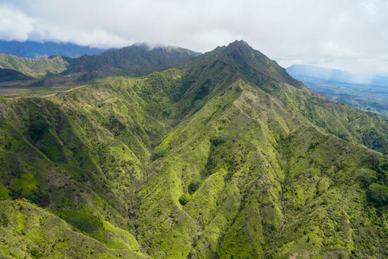Ich bin berauscht und schaue hinaus—aber nach unten wird mir mehr als komisch zumute