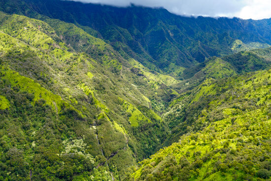 Einer der vielen Canyon der Insel