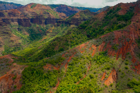 Die Farben sind wunderschön…
