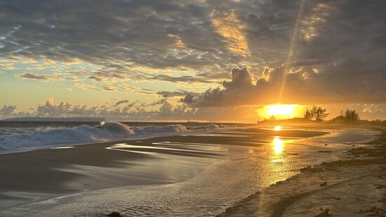 Bald gelingen uns diese schönen Aufnahmen
