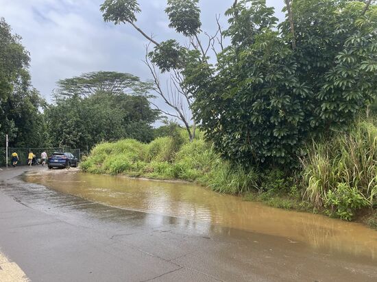 Der erste Aussichtspunkt heute: auch hier begrüßt uns eine große Pfütze.