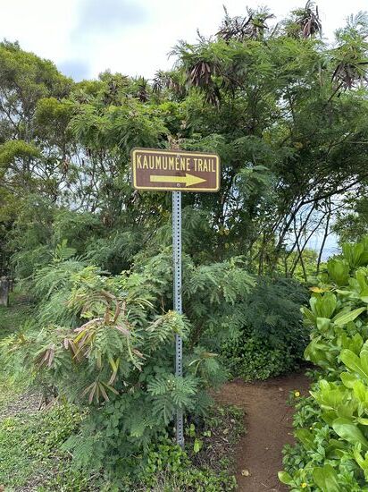 Hier beginnt der Trail zum Strand.