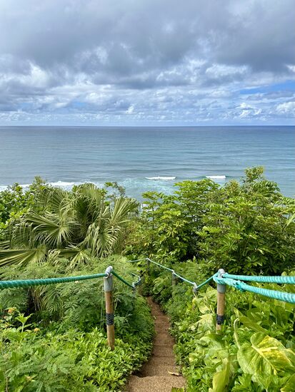 Da es sehr steil ist, wurden hier Seile installiert.