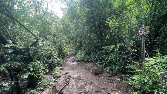 Es beginnt wieder zu regnen und der schmale Pfad wird immer glitschiger und matschig.