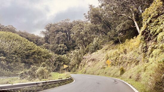 Ich recherchiere im Internet, dass diese Fahrt als „Tour nach Hana“ im Internet bei GetYourGuide guide angeboten wird. Die Gäste von Kreuzfahrtschiffen buchen diese gern. Tatsächlich wird Maui auch von Kreuzfahrtschiffen angesteuert