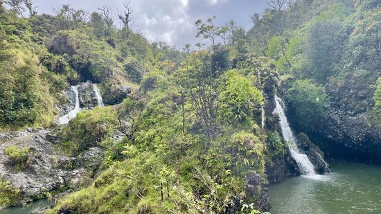 Leider ist es nicht immer leicht zu stoppen, man wird von hinten bedrängt und die Straßen sind ja sehr schmal..