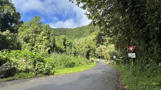 Um 8 Uhr sind wir dann schon unterwegs