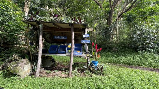 Für diese 8km brauchen wir mehr als eine halbe Stunde—an der Straße gibt es immer wieder Stände, an denen Obst verkauft wird
