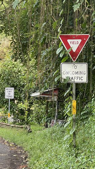 Hier mal ein verlassener Stand, der schon wild bewachsen ist