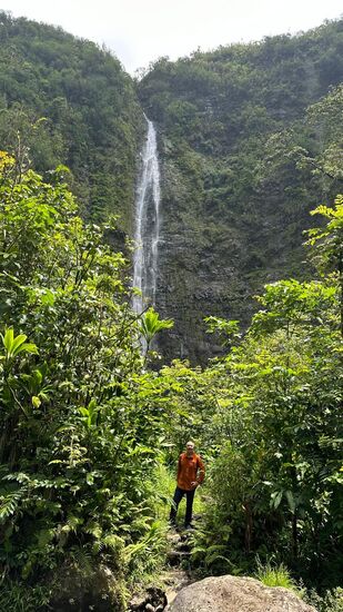 Umgeben von Dschungel